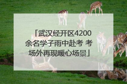 武汉经开区4200余名学子雨中赴考 考场外再现暖心场景