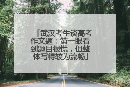 武汉考生谈高考作文题：第一眼看到题目很慌，但整体写得较为流畅