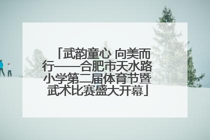 武韵童心 向美而行——合肥市天水路小学第二届体育节暨武术比赛盛大开幕