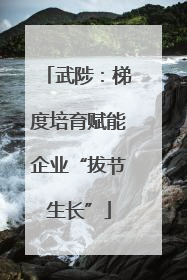 武陟：梯度培育赋能企业“拔节生长”