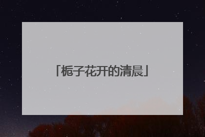 栀子花开的清晨