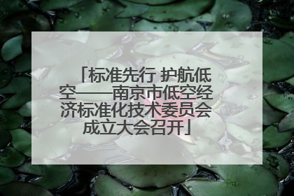 标准先行 护航低空——南京市低空经济标准化技术委员会成立大会召开