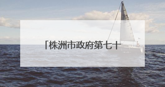 株洲市政府第七十三次常务会议召开 研究低空经济发展、大抓落实等工作