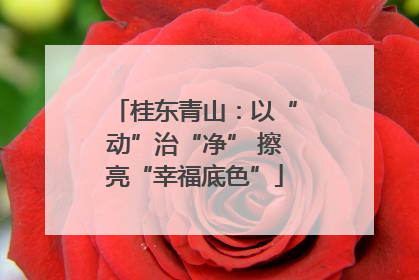 桂东青山：以“动”治“净” 擦亮“幸福底色”