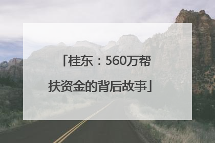 桂东：560万帮扶资金的背后故事