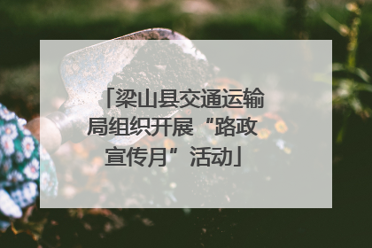 梁山县交通运输局组织开展“路政宣传月”活动