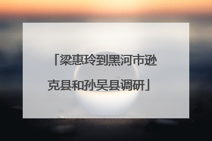 梁惠玲到黑河市逊克县和孙吴县调研