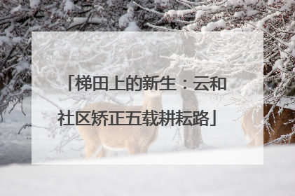 梯田上的新生：云和社区矫正五载耕耘路