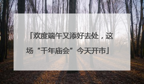 欢度端午又添好去处，这场“千年庙会”今天开市