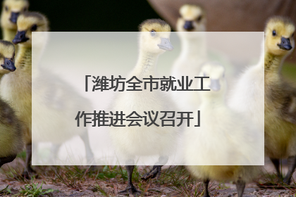 潍坊全市就业工作推进会议召开