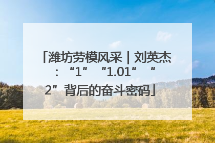 潍坊劳模风采｜刘英杰：“1”“1.01”“2”背后的奋斗密码