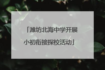 潍坊北海中学开展小初衔接探校活动