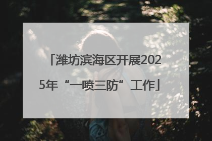 潍坊滨海区开展2025年“一喷三防”工作