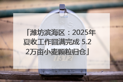 潍坊滨海区：2025年夏收工作圆满完成 5.22万亩小麦颗粒归仓