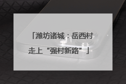 潍坊诸城：岳西村走上“强村新路”