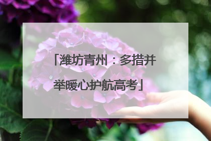 潍坊青州：多措并举暖心护航高考