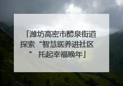 潍坊高密市醴泉街道探索“智慧医养进社区” 托起幸福晚年