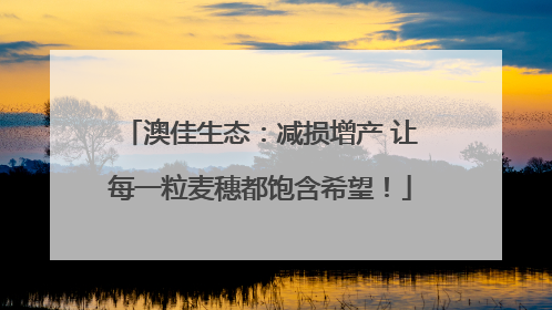 澳佳生态：减损增产 让每一粒麦穗都饱含希望！