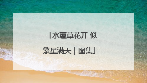 水蕴草花开 似繁星满天｜图集