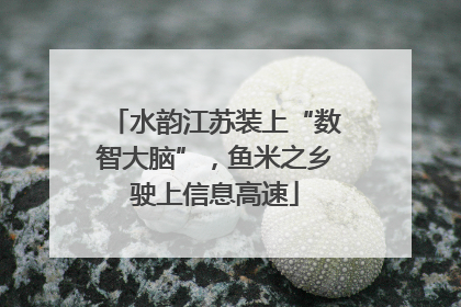 水韵江苏装上“数智大脑”，鱼米之乡驶上信息高速