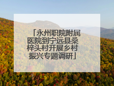 永州职院附属医院到宁远县桑梓头村开展乡村振兴专题调研