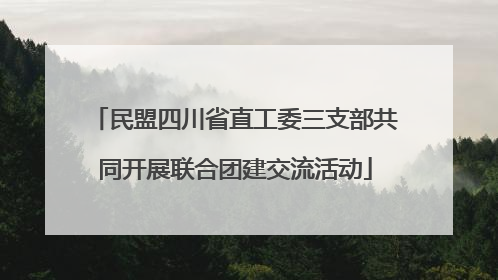 民盟四川省直工委三支部共同开展联合团建交流活动