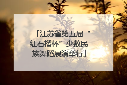 江苏省第五届“红石榴杯”少数民族舞蹈展演举行