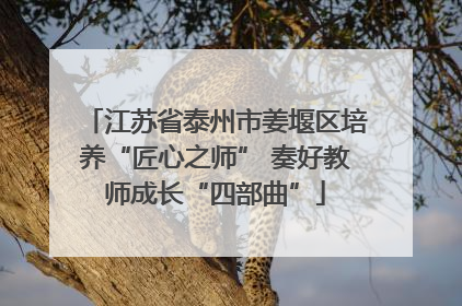 江苏省泰州市姜堰区培养“匠心之师” 奏好教师成长“四部曲”