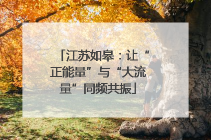 江苏如皋：让“正能量”与“大流量”同频共振