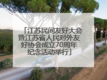 江苏民间友好大会暨江苏省人民对外友好协会成立70周年纪念活动举行