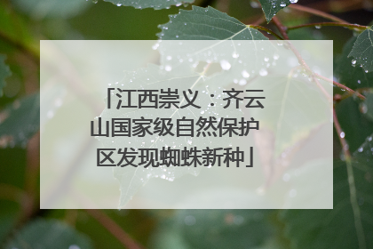 江西崇义：齐云山国家级自然保护区发现蜘蛛新种