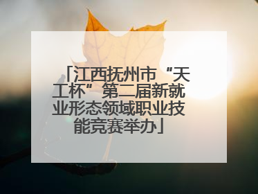 江西抚州市“天工杯”第二届新就业形态领域职业技能竞赛举办