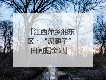 江西萍乡湘东区：“泥腿子”田间掘金记