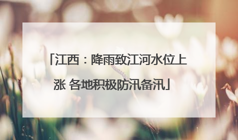 江西：降雨致江河水位上涨 各地积极防汛备汛