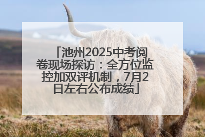 池州2025中考阅卷现场探访：全方位监控加双评机制，7月2日左右公布成绩