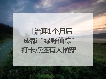 治理1个月后 成都“绿野仙踪”打卡点还有人横穿马路去拍照吗？｜民情瞭望