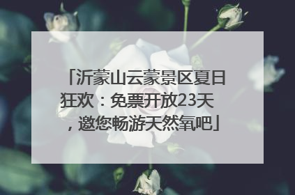 沂蒙山云蒙景区夏日狂欢：免票开放23天，邀您畅游天然氧吧
