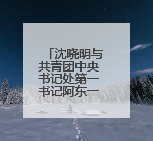 沈晓明与共青团中央书记处第一书记阿东一行会谈