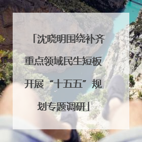 沈晓明围绕补齐重点领域民生短板开展“十五五”规划专题调研