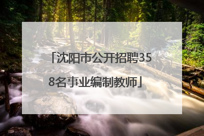 沈阳市公开招聘358名事业编制教师