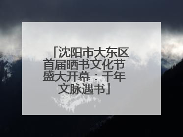 沈阳市大东区首届晒书文化节盛大开幕：千年文脉遇书
