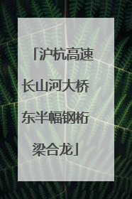 沪杭高速长山河大桥东半幅钢桁梁合龙