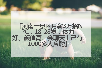 河南一景区月薪3万招NPC：18-28岁，体力好、颜值高、会聊天！已有1000多人应聘