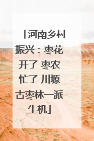 河南乡村振兴：枣花开了 枣农忙了 川塬古枣林一派生机