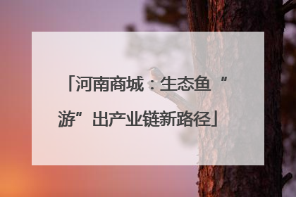 河南商城：生态鱼“游”出产业链新路径
