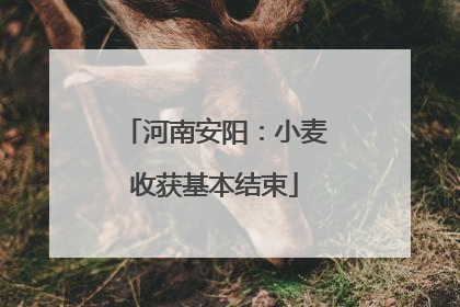 河南安阳：小麦收获基本结束