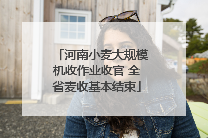 河南小麦大规模机收作业收官 全省麦收基本结束