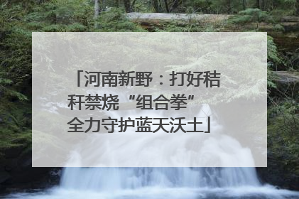 河南新野：打好秸秆禁烧“组合拳” 全力守护蓝天沃土