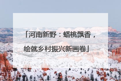 河南新野：蟠桃飘香，绘就乡村振兴新画卷