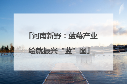 河南新野：蓝莓产业绘就振兴“蓝”图